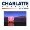 National Process Equipment/Charlatte America - Pressure Extremes in Piping Systems Caused by Flow Transients